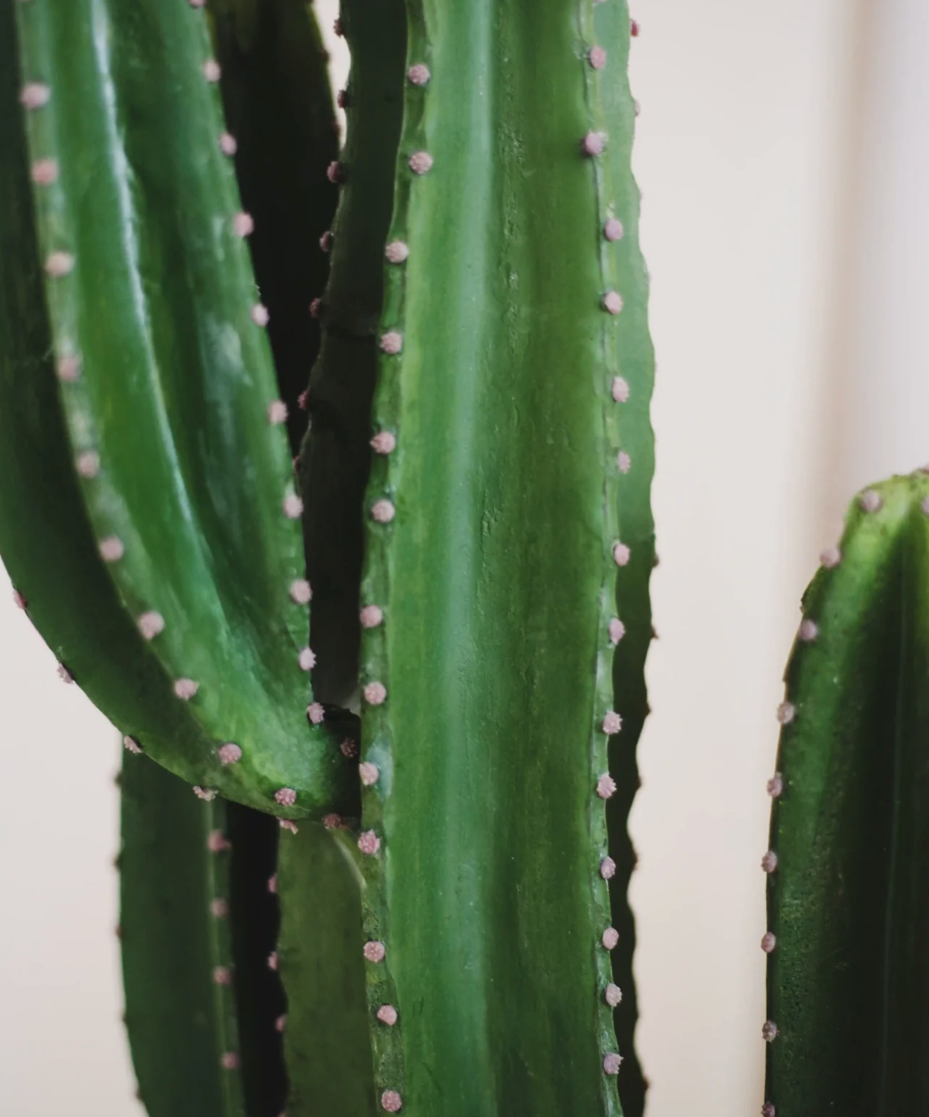 Cactus artificiel