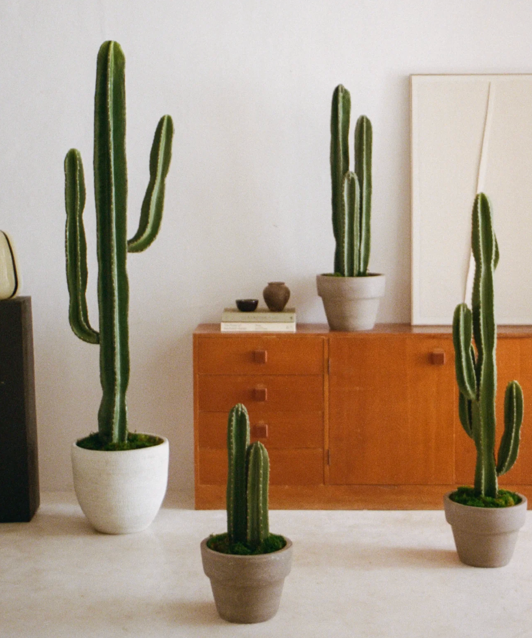 Cactus artificiel
