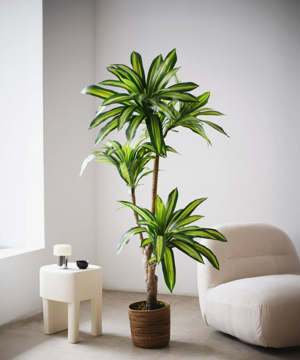 Dracaena artificiel