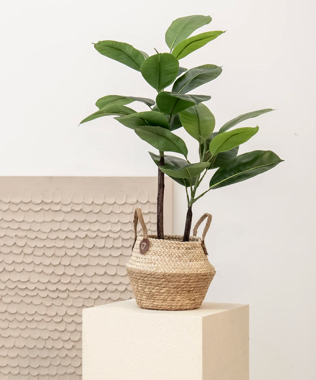Ficus elastica artificiel