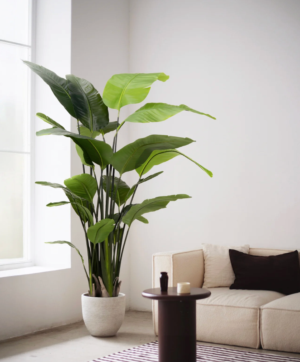 Strelitzia artificiel