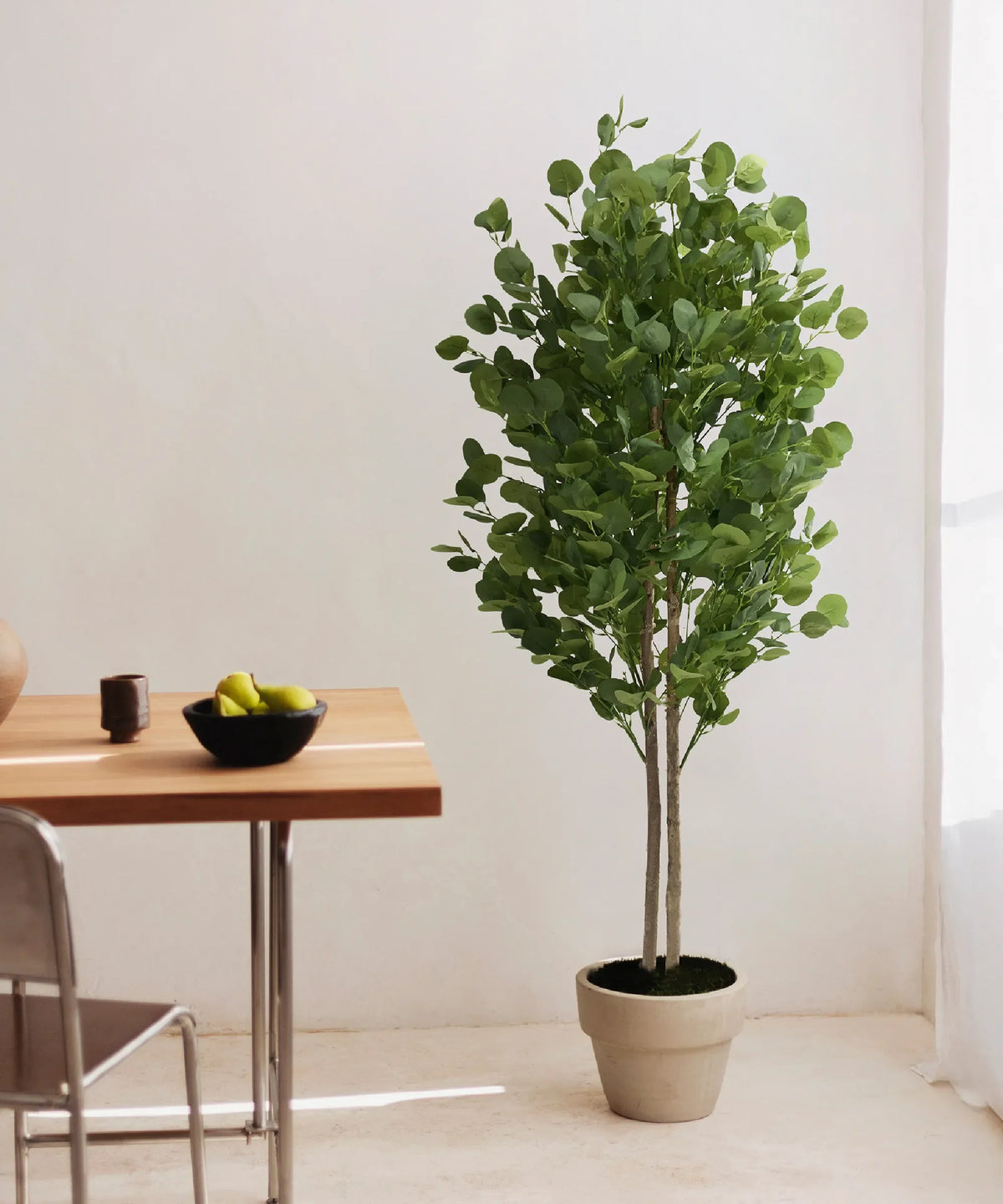 Eucalyptus Artificiel