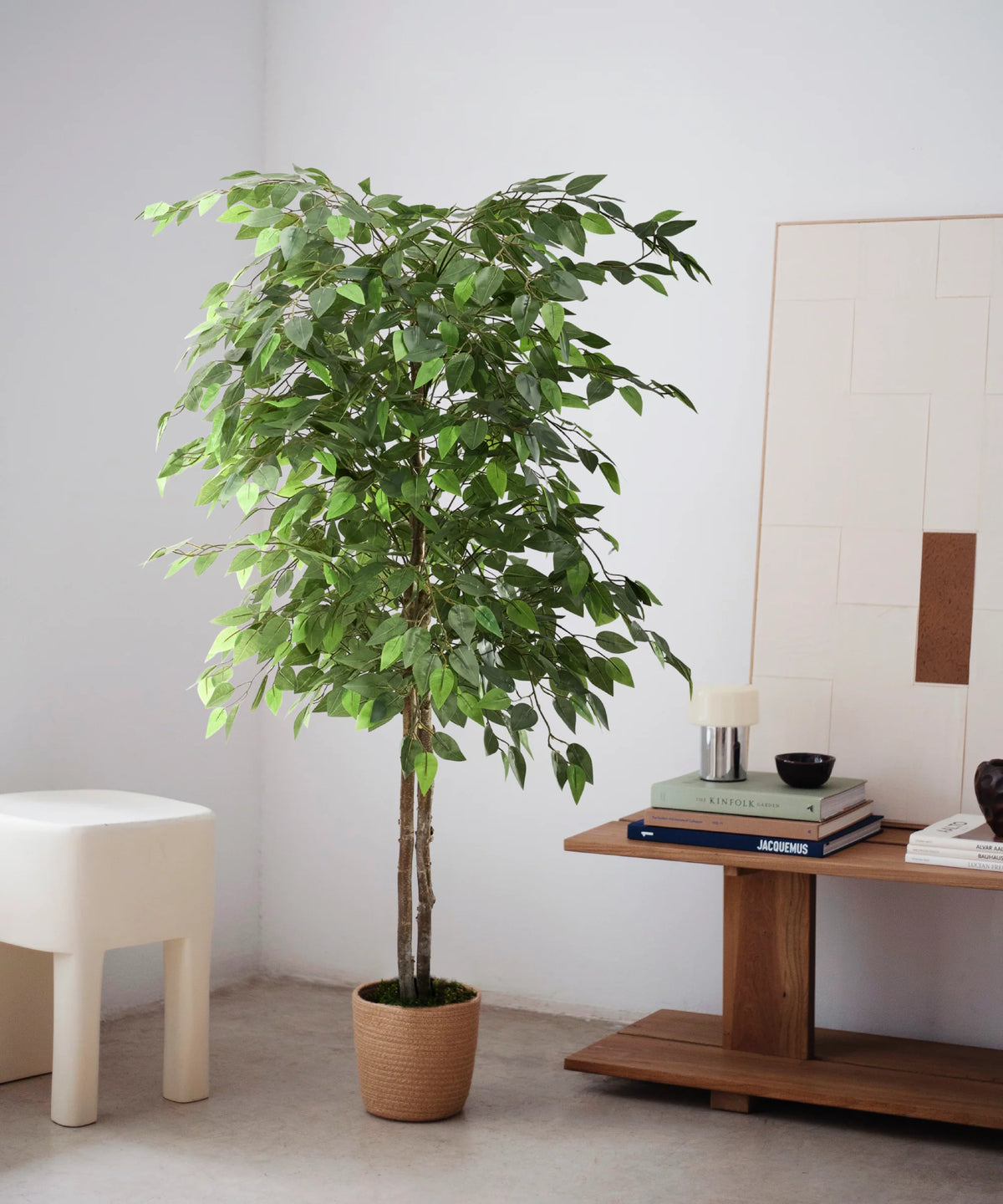 Ficus artificiel