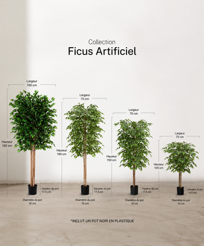 Ficus artificiel