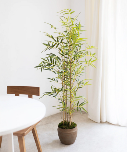 Bambou artificiel sauvage