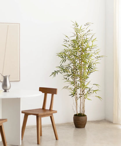 Bambou artificiel sauvage