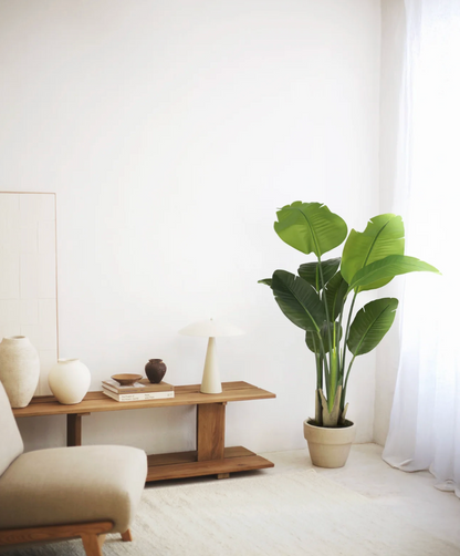 Strelitzia artificiel
