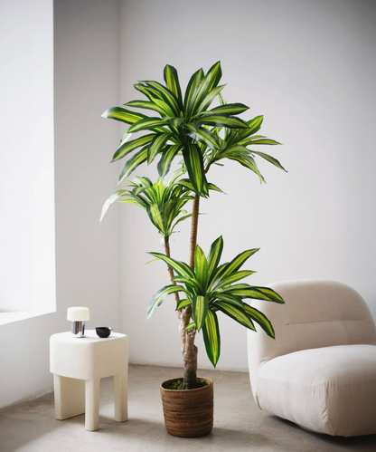 Dracaena artificiel