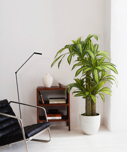 Dracaena artificiel