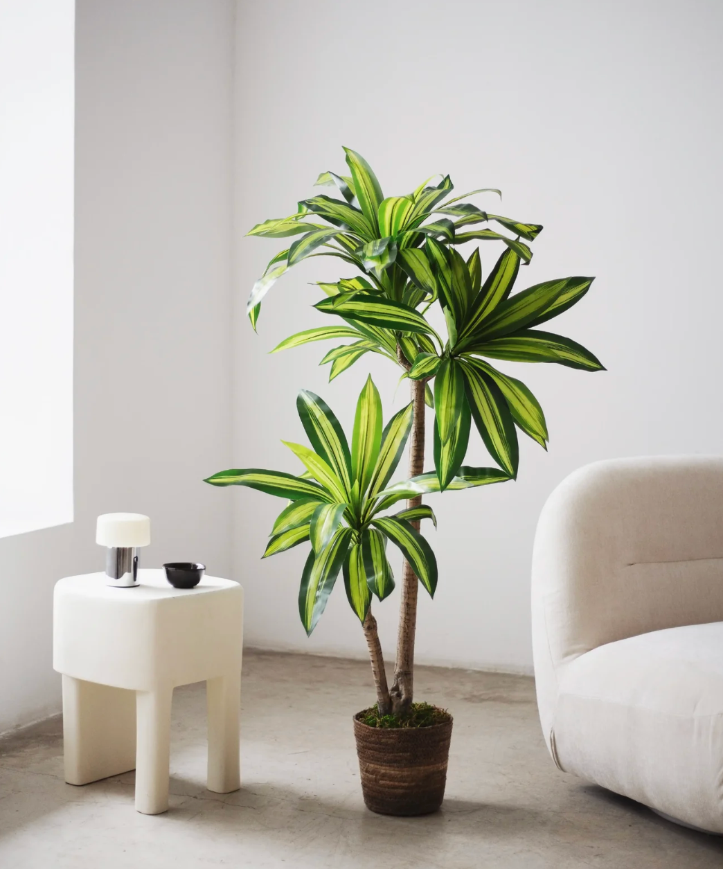 Dracaena artificiel