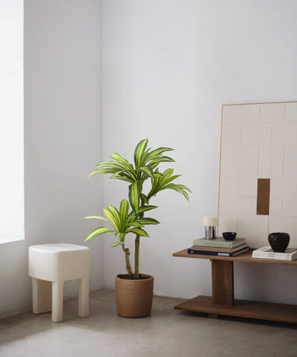 Dracaena artificiel