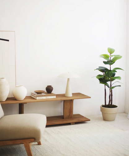 Ficus elastica artificiel
