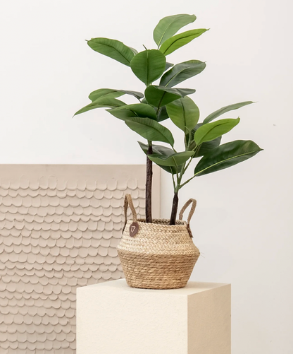 Ficus elastica artificiel