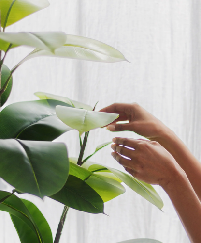 Ficus elastica artificiel
