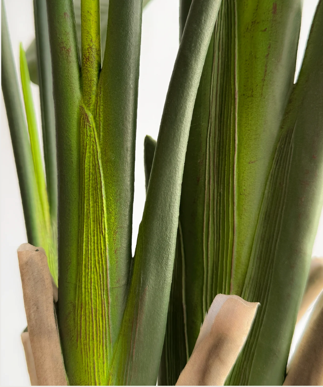 Strelitzia artificiel