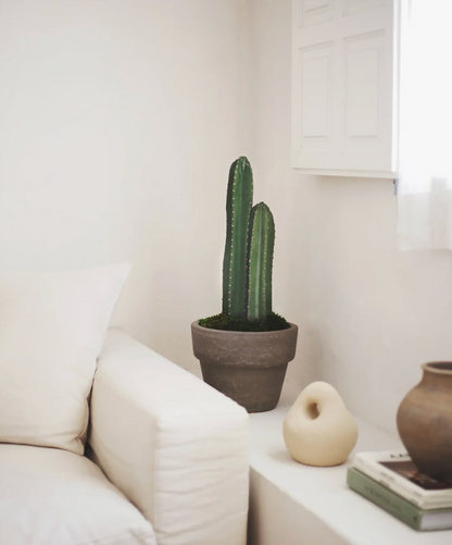 Cactus artificiel