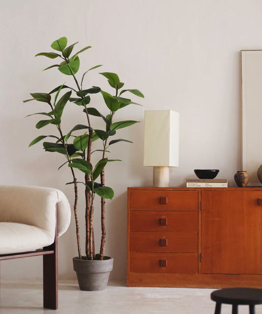 Ficus elastica artificiel