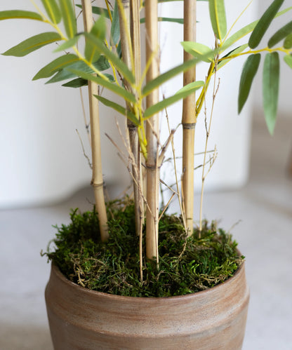 Bambou artificiel sauvage