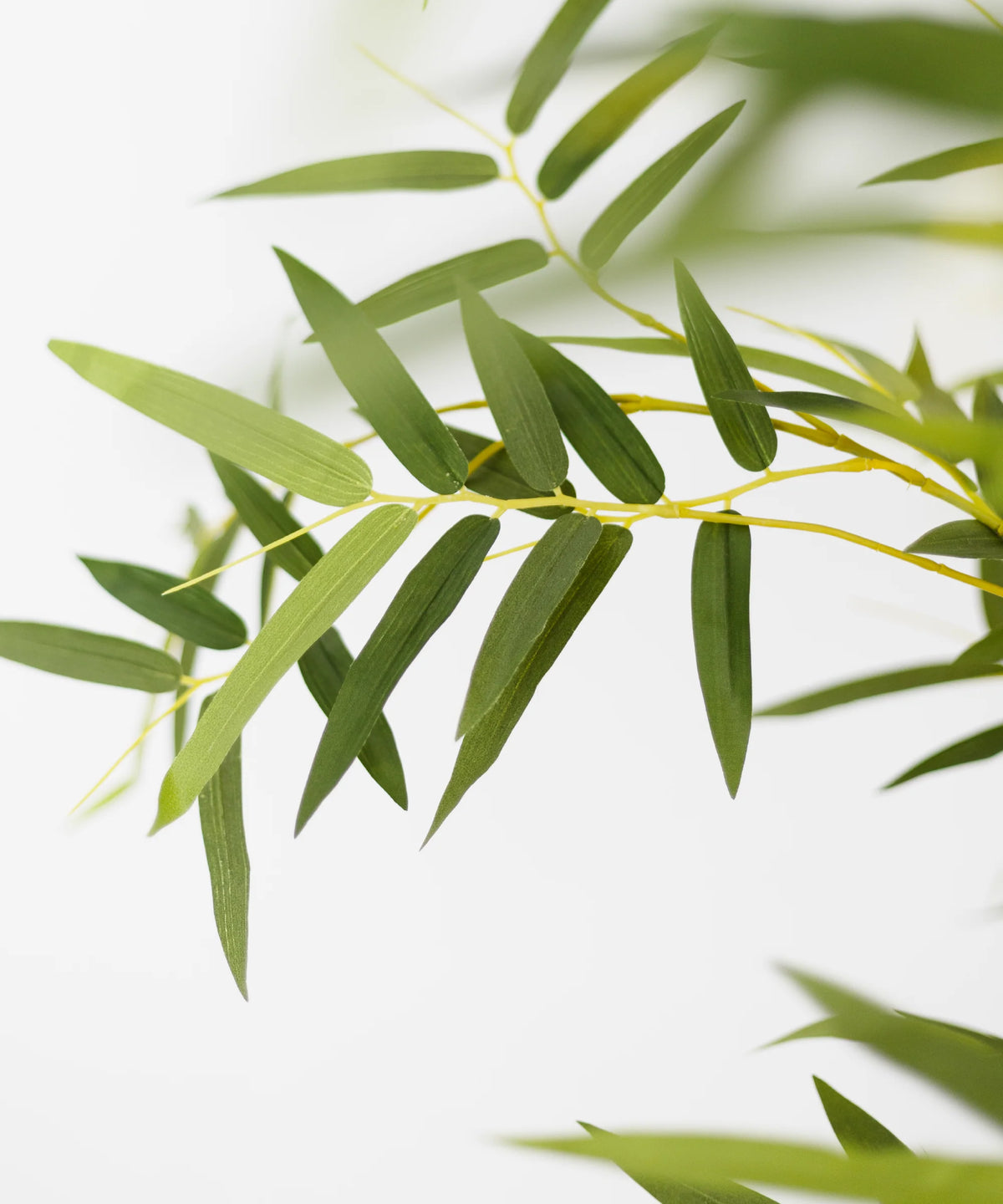 Bambou artificiel sauvage