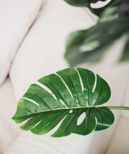 Monstera artificiel
