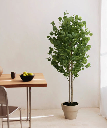 Eucalyptus Artificiel