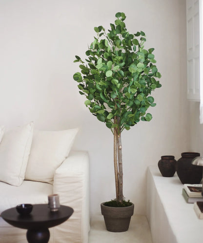 Eucalyptus Artificiel