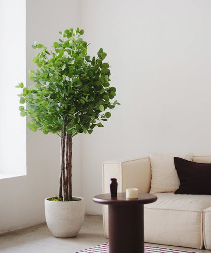 Eucalyptus Artificiel
