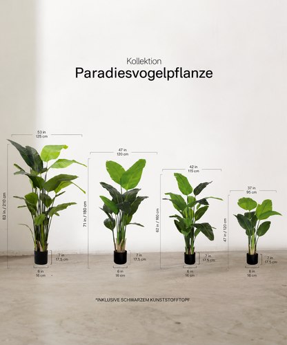 Strelitzia artificiel