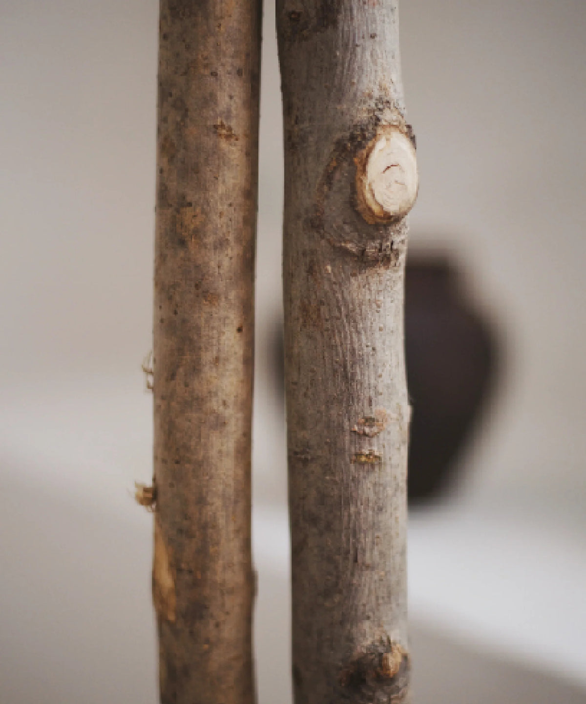 Eucalyptus Artificiel