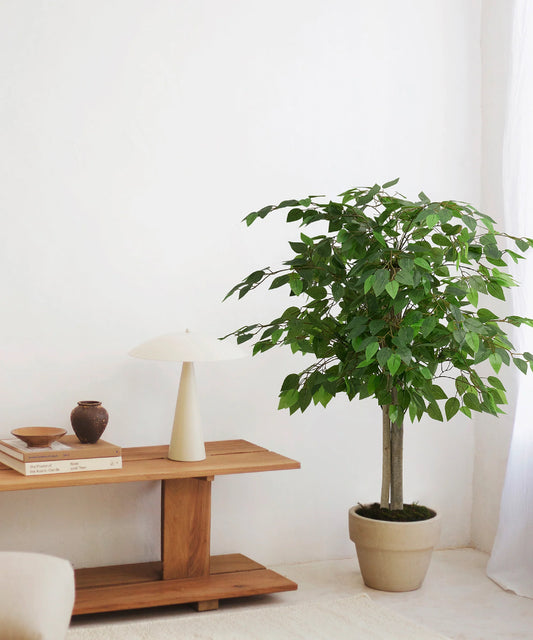 Ficus artificiel
